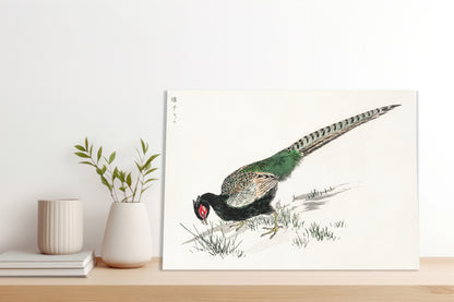 Obraz  Green Pheasant, Kashu Japoński Vintage do Salonu