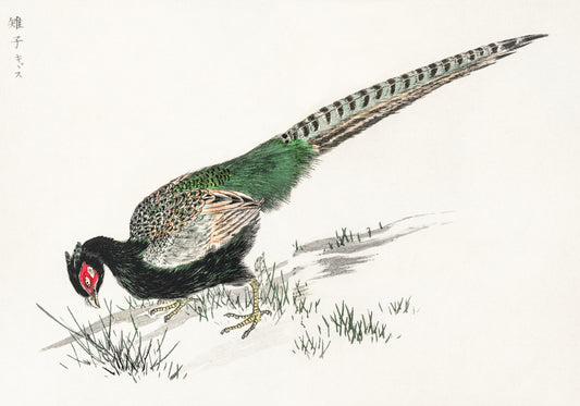 Plakat  Green Pheasant, Kashu Japoński Vintage do Salonu