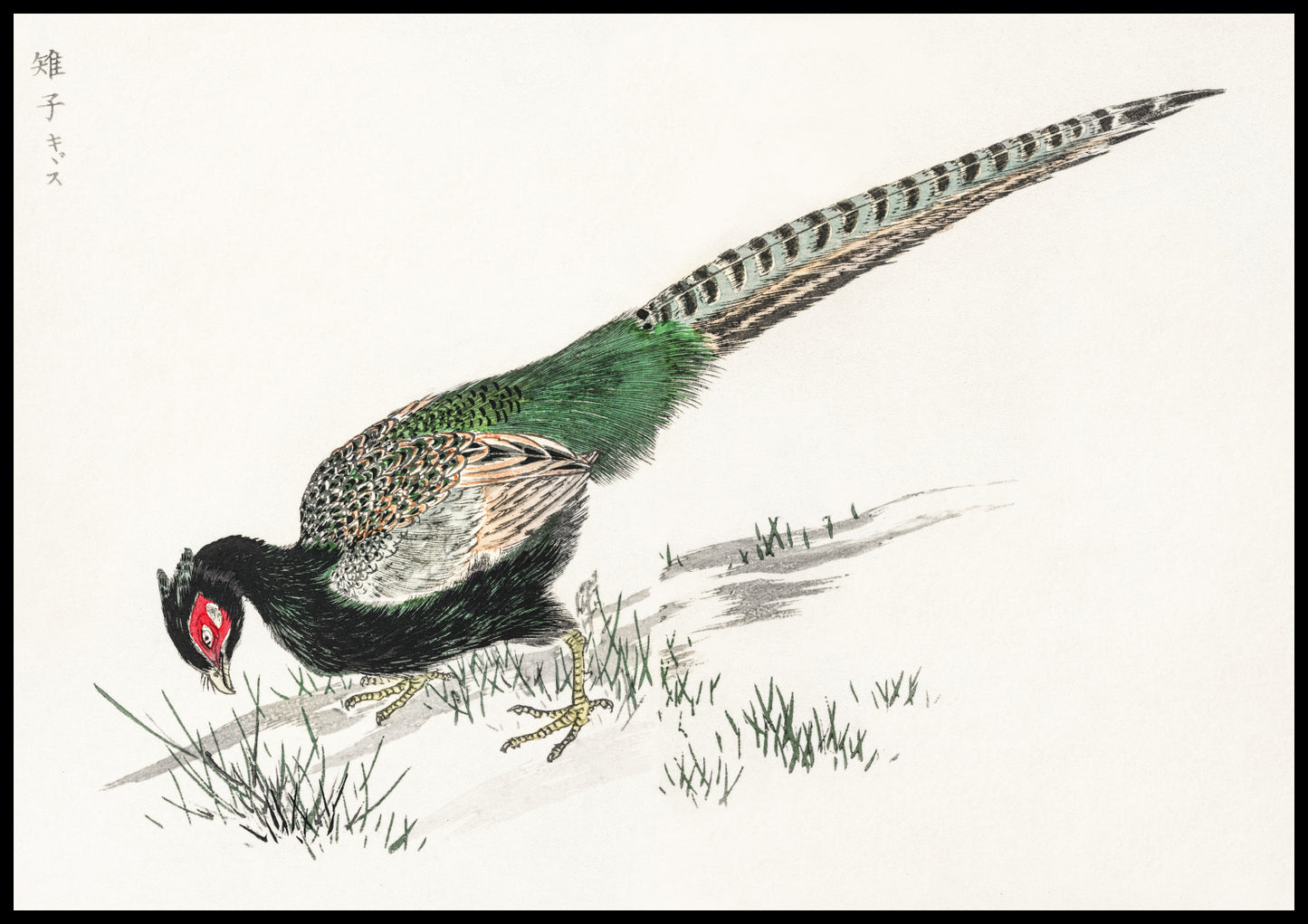 Plakat  Green Pheasant, Kashu Japoński Vintage do Salonu