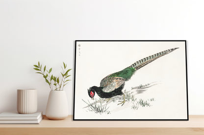 Plakat  Green Pheasant, Kashu Japoński Vintage do Salonu