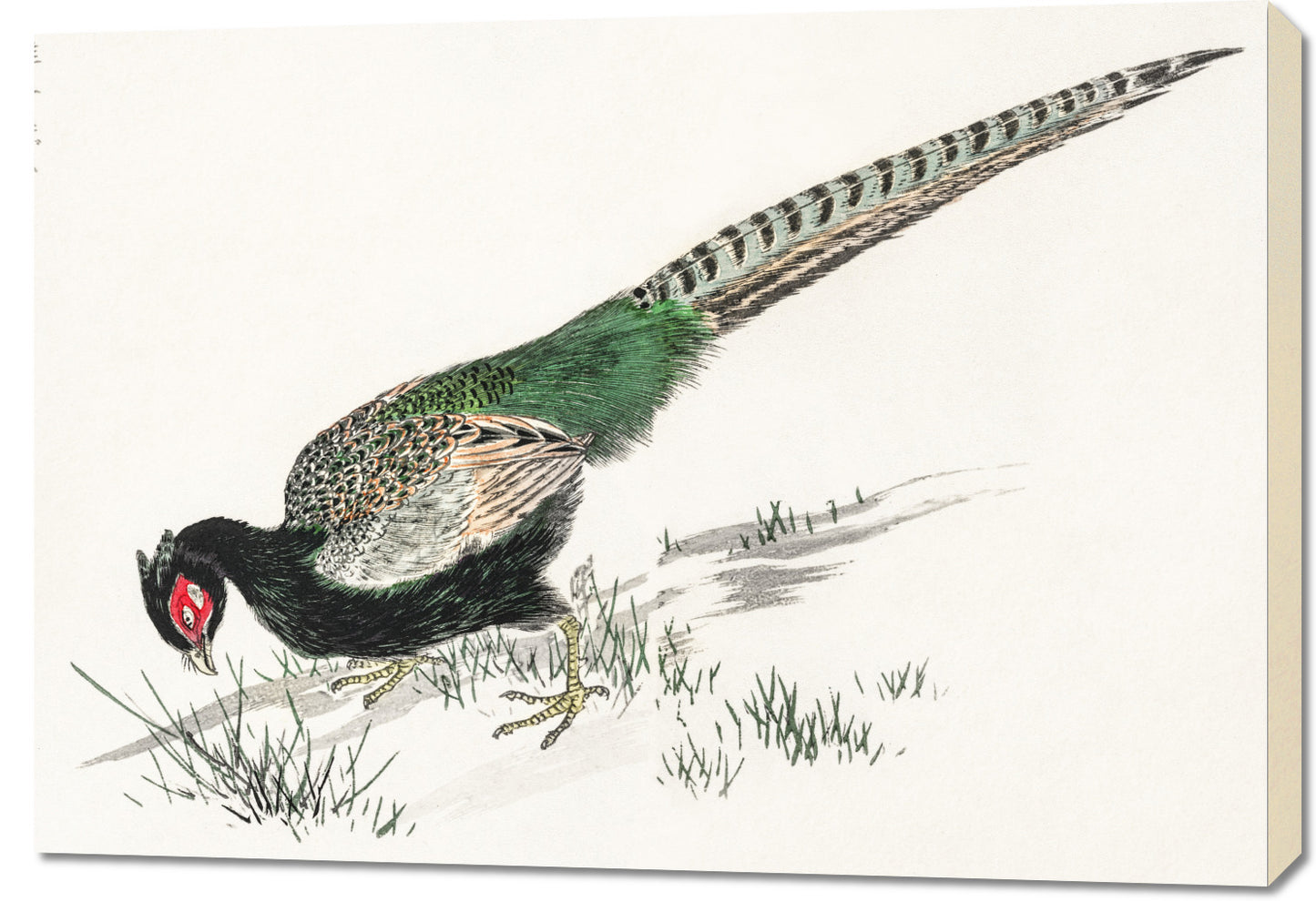 Obraz  Green Pheasant, Kashu Japoński Vintage do Salonu