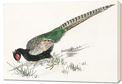 Obraz  Green Pheasant, Kashu Japoński Vintage do Salonu
