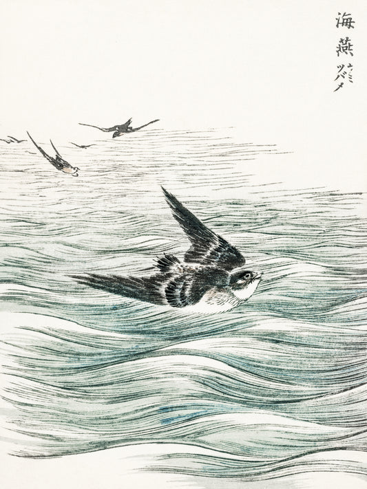 Plakat  Riu Kiu House Swallow, Kashu Japoński Vintage