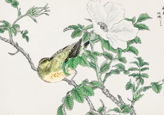Plakat  Bulbul and Rosa, Kashu Japoński Vintage do Salonu