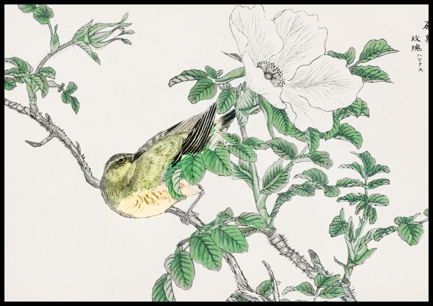 Plakat  Bulbul and Rosa, Kashu Japoński Vintage do Salonu
