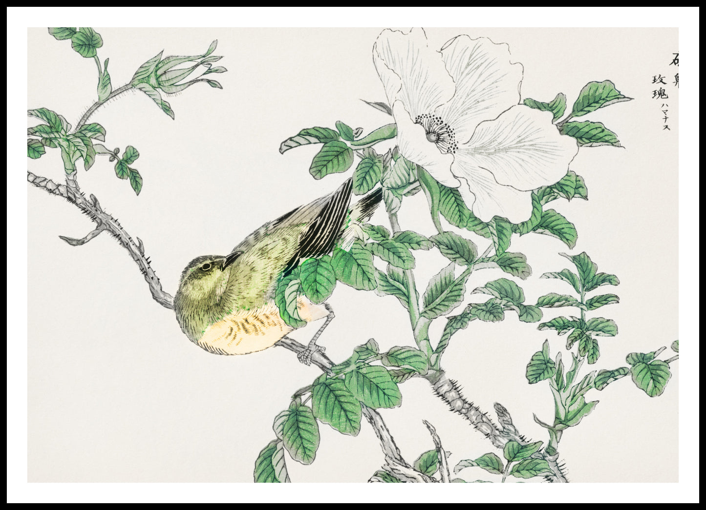 Plakat  Bulbul and Rosa, Kashu Japoński Vintage do Salonu