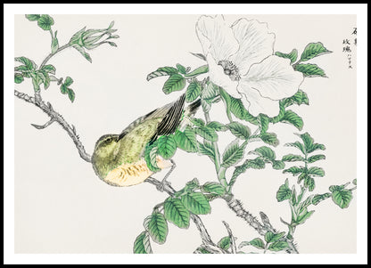 Plakat  Bulbul and Rosa, Kashu Japoński Vintage do Salonu
