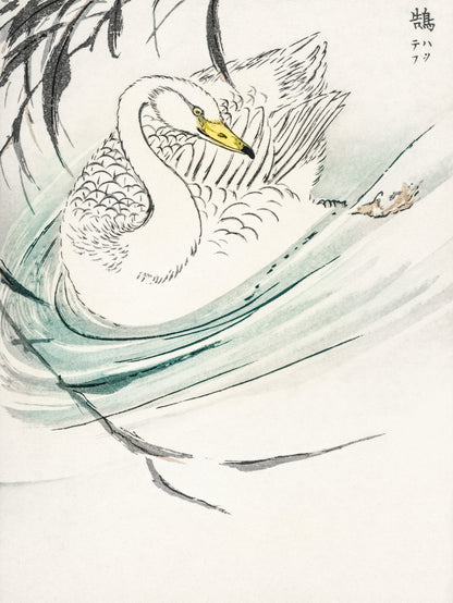 Plakat  Wooper Swan, Kashu Japoński Vintage do Salonu