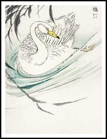 Plakat  Wooper Swan, Kashu Japoński Vintage do Salonu