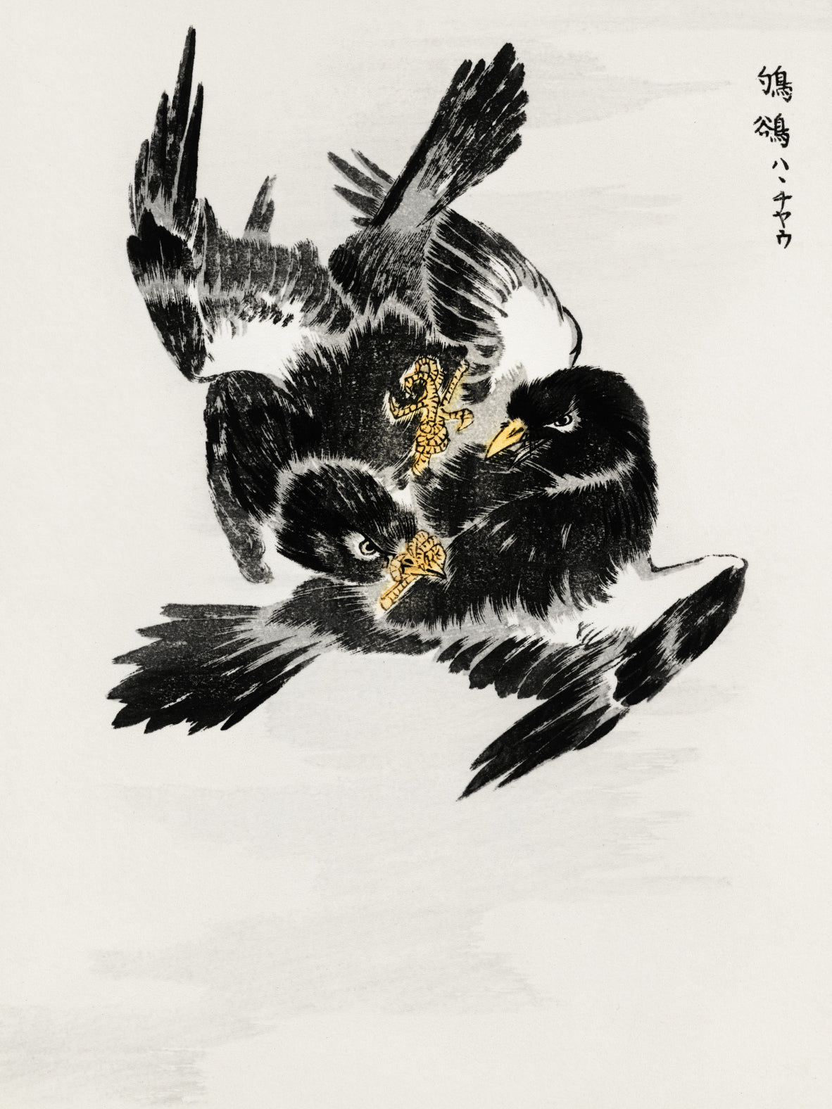 Plakat  Jungle Nightjar, Kashu Japoński Vintage do Salonu
