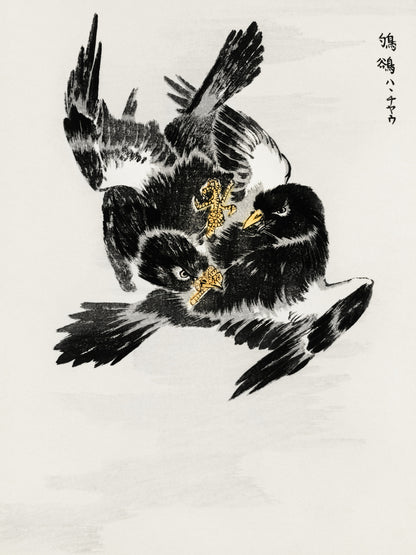 Plakat  Jungle Nightjar, Kashu Japoński Vintage do Salonu