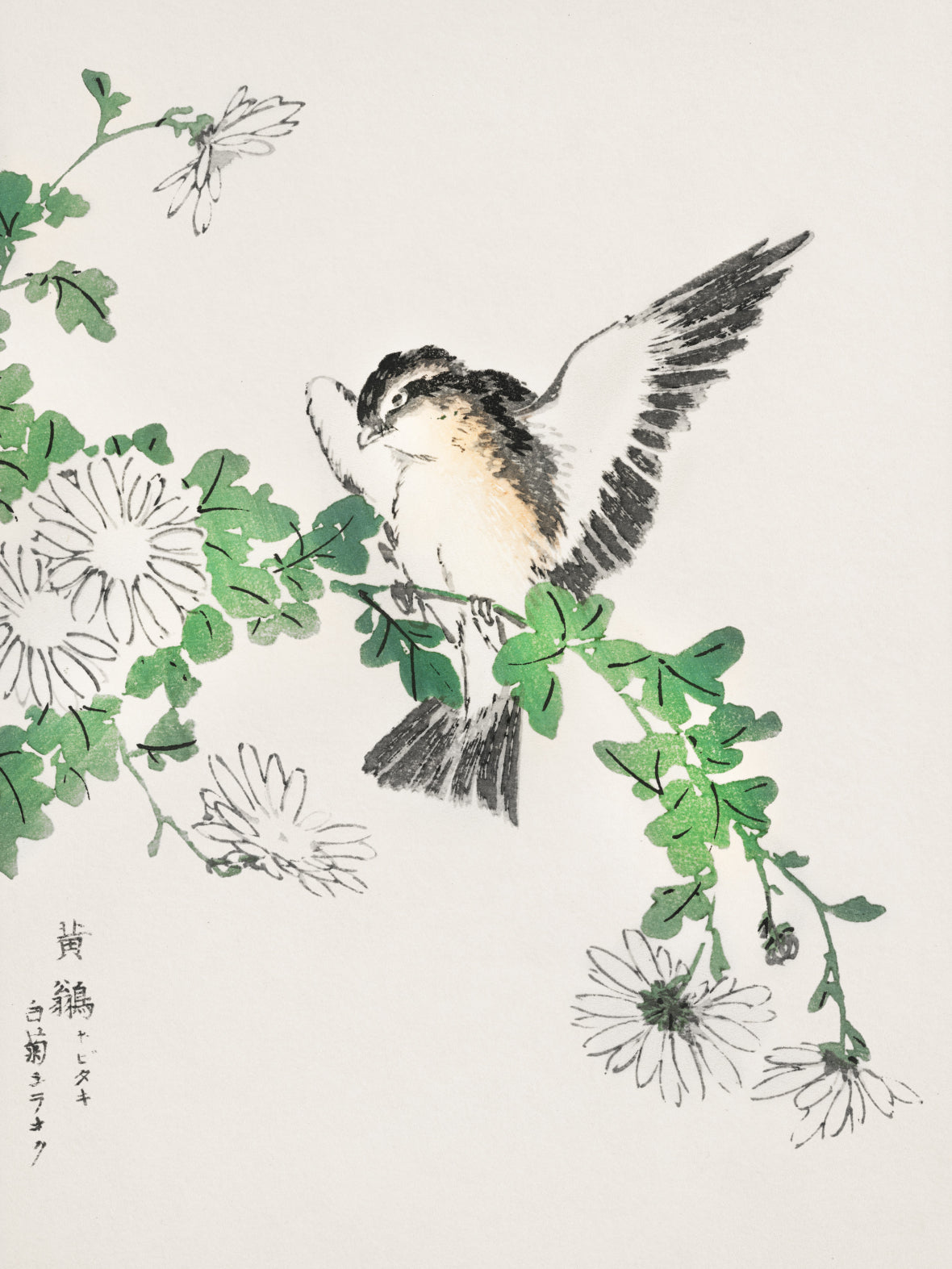 Plakat  Flycatcher, Kashu Japoński Vintage do Salonu