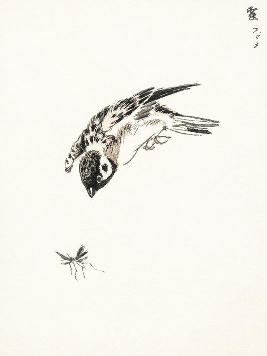 Plakat  Sparrow, Kashu Japoński Vintage do Salonu