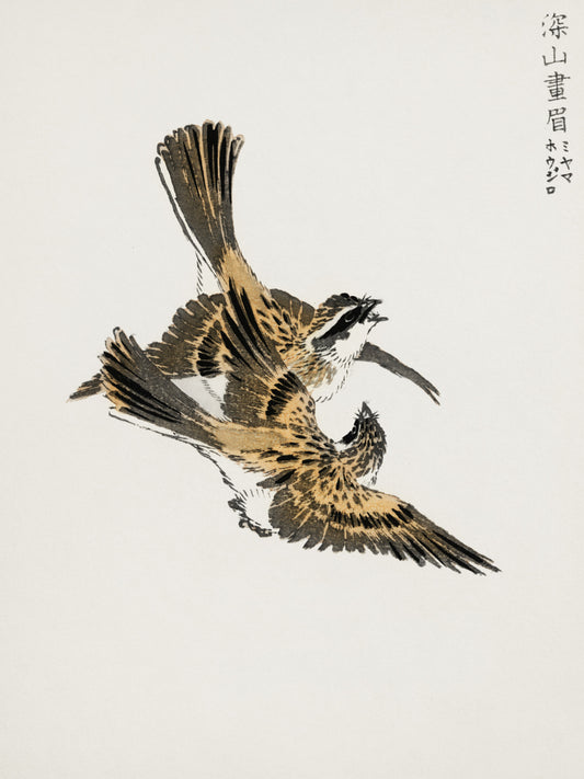 Plakat  Bunting, Kashu Japoński Vintage do Salonu