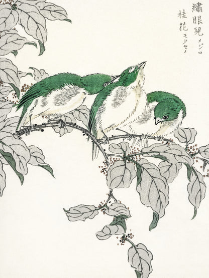 Plakat  White-Eye, Kashu Japoński Vintage do Salonu