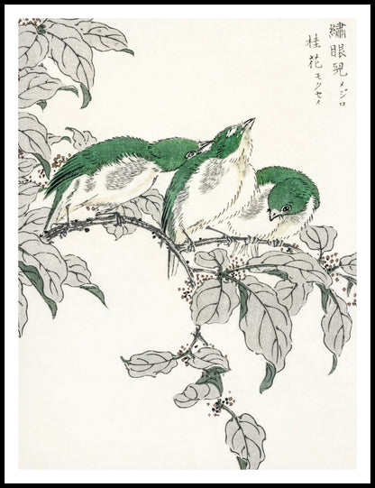 Plakat  White-Eye, Kashu Japoński Vintage do Salonu