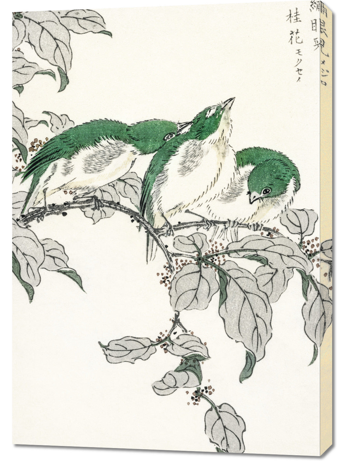 Obraz  White-Eye, Kashu Japoński Vintage do Salonu