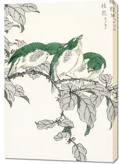 Obraz  White-Eye, Kashu Japoński Vintage do Salonu