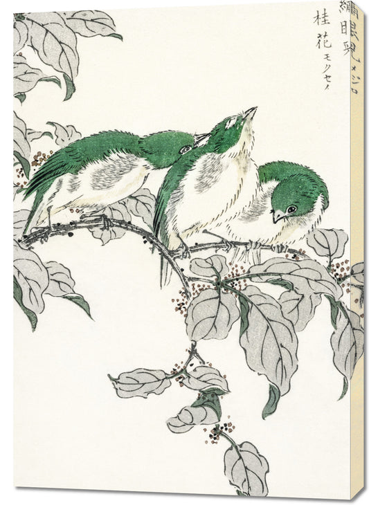 Obraz  White-Eye, Kashu Japoński Vintage do Salonu