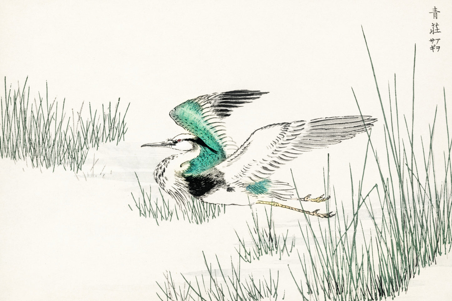 Plakat  Grey Heron, Kashu Japoński Vintage do Salonu