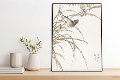 Plakat  Grey Bunting, Kashu Japoński Vintage do Salonu