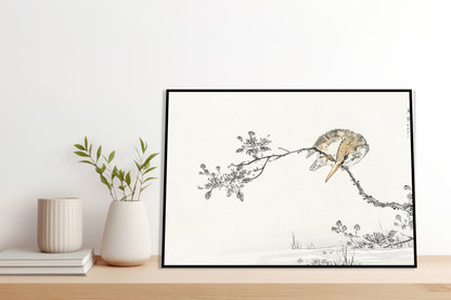 Plakat  Pied Kingfisher, Kashu Japoński Vintage do Salonu