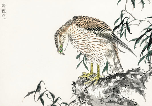 Plakat  Osprey, Kashu Japoński Vintage do Salonu