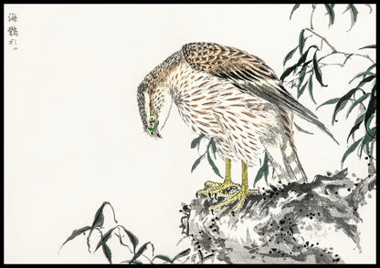 Plakat  Osprey, Kashu Japoński Vintage do Salonu