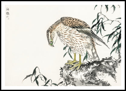 Plakat  Osprey, Kashu Japoński Vintage do Salonu