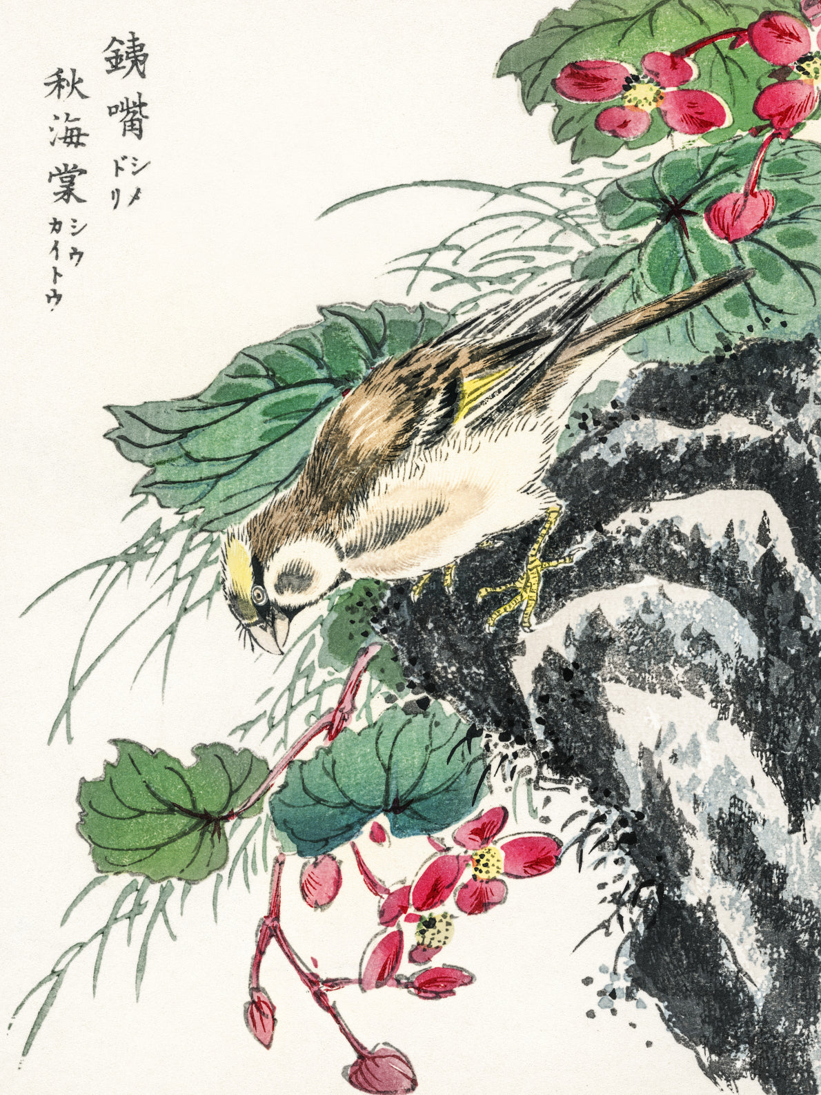Plakat   Hawfinch, Kashu Japoński Vintage do Salonu