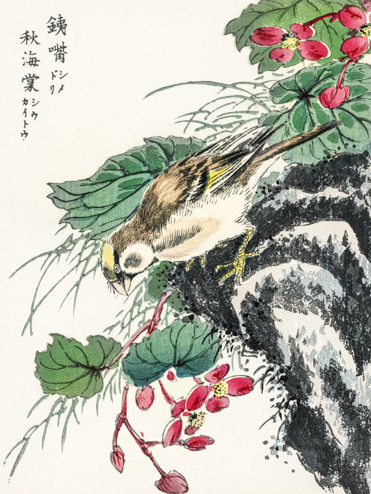 Plakat   Hawfinch, Kashu Japoński Vintage do Salonu