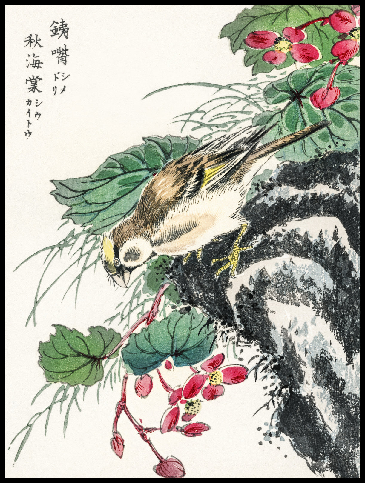 Plakat   Hawfinch, Kashu Japoński Vintage do Salonu
