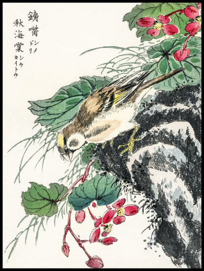 Plakat   Hawfinch, Kashu Japoński Vintage do Salonu