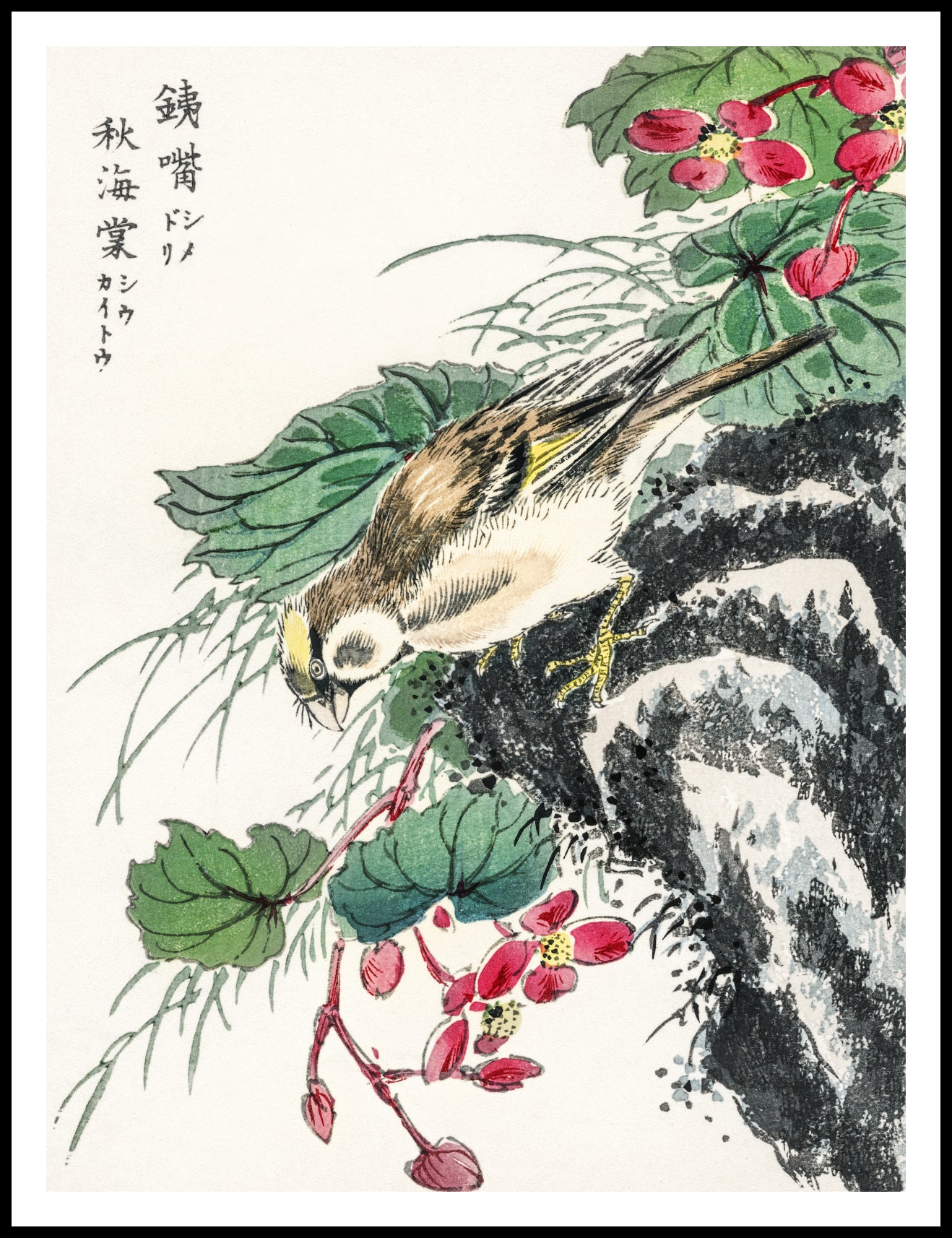 Plakat   Hawfinch, Kashu Japoński Vintage do Salonu