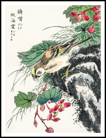 Plakat   Hawfinch, Kashu Japoński Vintage do Salonu