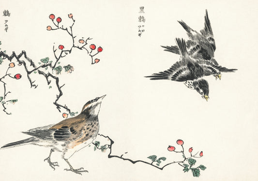 Plakat  Dosky Thrush, Kashu Japoński Vintage do Salonu