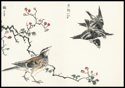 Plakat  Dosky Thrush, Kashu Japoński Vintage do Salonu