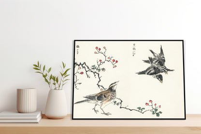 Plakat  Dosky Thrush, Kashu Japoński Vintage do Salonu
