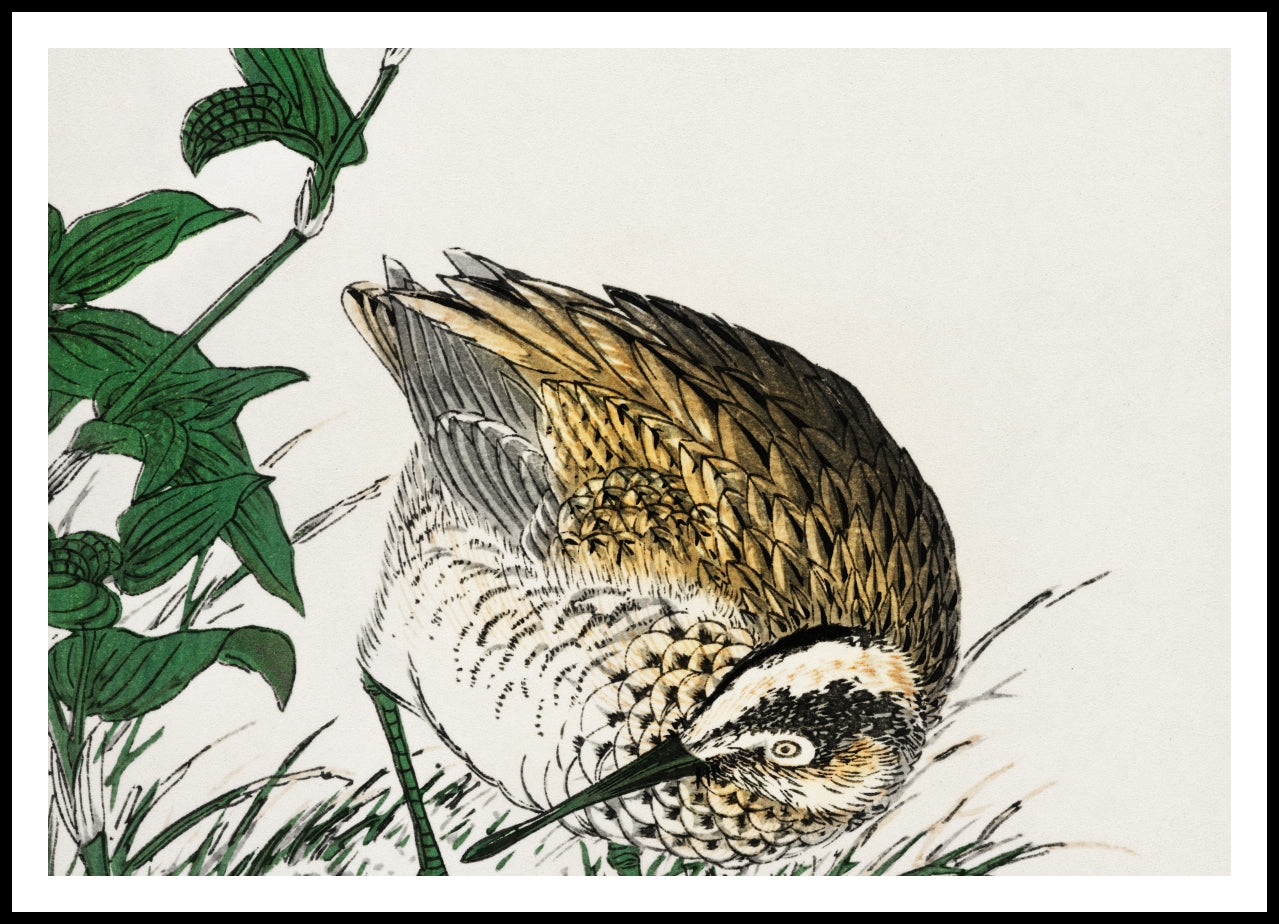 Plakat  Greenshank, Kashu Japoński Vintage do Salonu