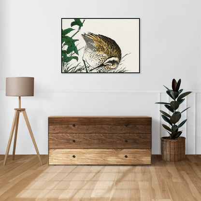 Plakat  Greenshank, Kashu Japoński Vintage do Salonu