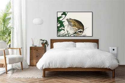 Plakat  Greenshank, Kashu Japoński Vintage do Salonu