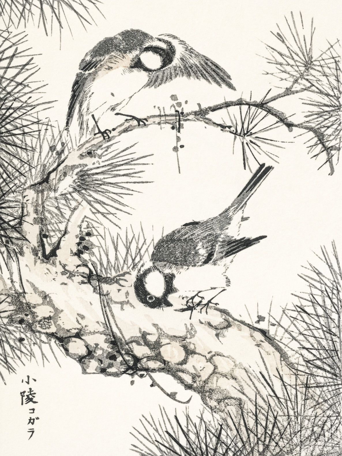 Plakat  Willow Tit, Kashu Japoński Vintage do Salonu