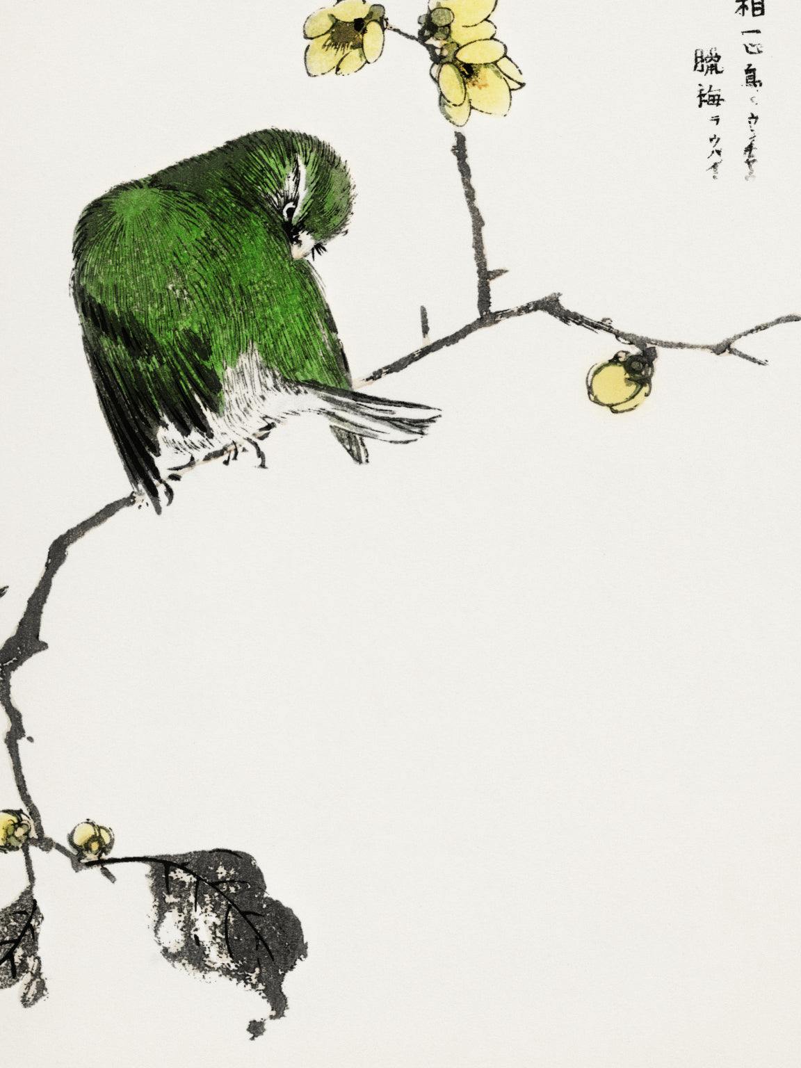 Plakat  Fairy Pitta, Kashu Japoński Vintage do Salonu