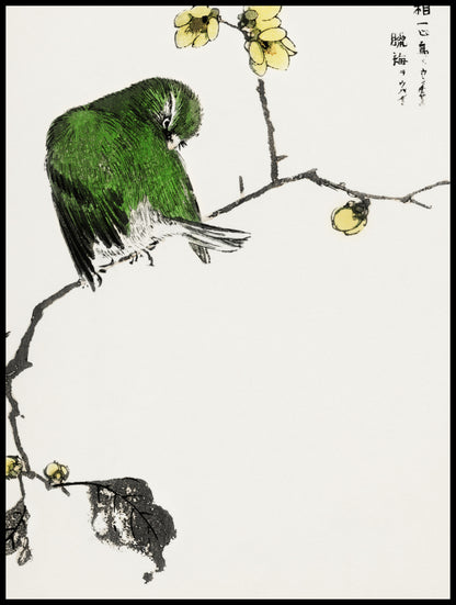 Plakat  Fairy Pitta, Kashu Japoński Vintage do Salonu