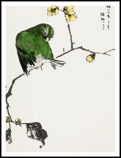 Plakat  Fairy Pitta, Kashu Japoński Vintage do Salonu
