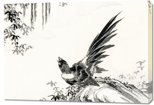 Obraz  Magpie, Kashu Japoński Vintage do Salonu