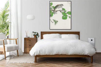 Plakat  Barbary Dove, Kashu Japoński Vintage