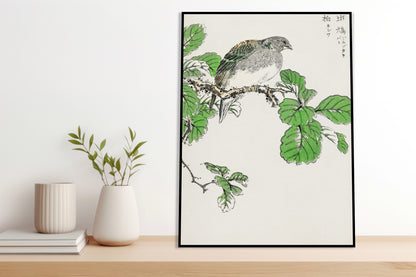 Plakat  Barbary Dove, Kashu Japoński Vintage