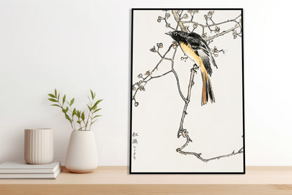 Plakat  Siberian Blue-Tail, Kashu Japoński Vintage