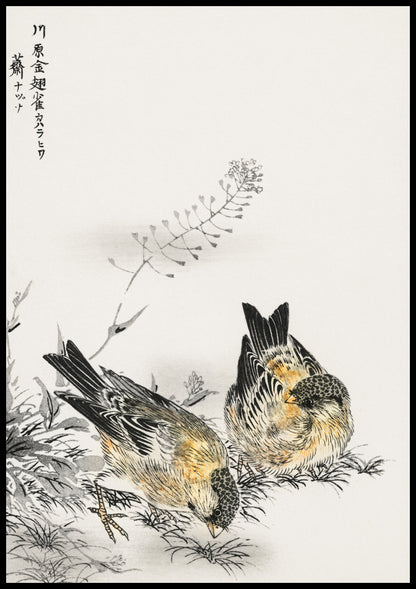 Plakat   Greenfinch, Kashu Japoński Vintage do Salonu